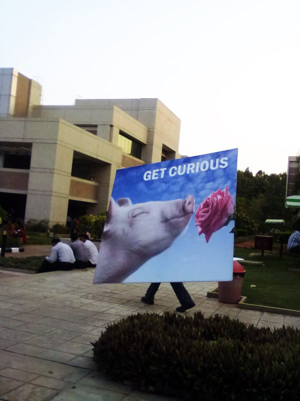 Stay Curious