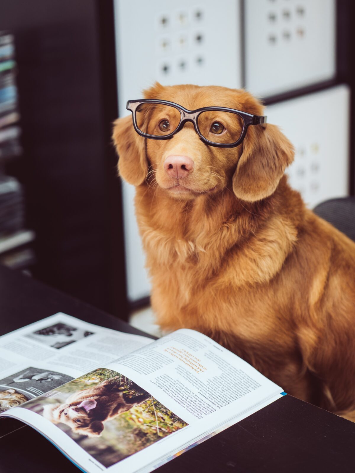Newsletters I Follow AND YOU CAN TOO